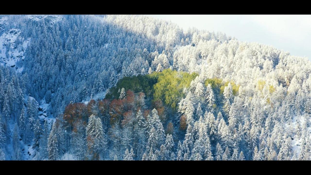 Briancon - Serre Chevalier 1200 - Joli Appartement - Face Aux Pistes En Centre Ville ภายนอก รูปภาพ